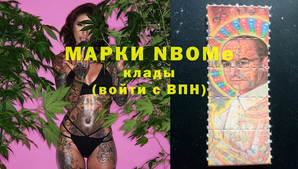ПСИЛОЦИБИНОВЫЕ ГРИБЫ Алексин