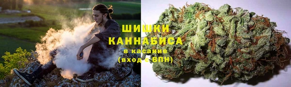 каннабис Алзамай