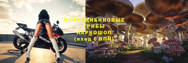 ПСИЛОЦИБИНОВЫЕ ГРИБЫ Алексин