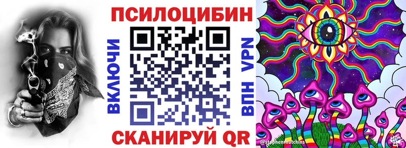 Галлюциногенные грибы мицелий  Камбарка 